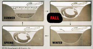 Fall Bass Fishing (A Complete Guide) - ruggedoutdoorsguide.com