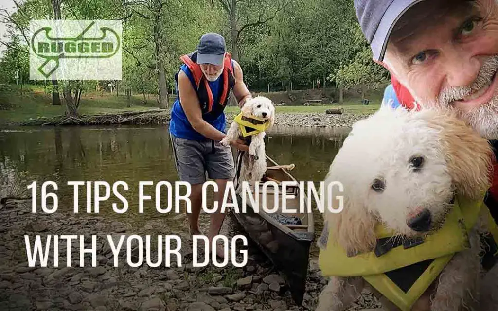 16 Tips for Canoeing With Your Dog